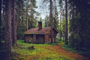 What Does a Connection to Nature at Home Look Like